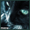 fc77.deviantart.com/fs10/i/2006/097/5/a/Black_Cat_Meow_Avatar_Request_by_goodmorningstarshine.gif